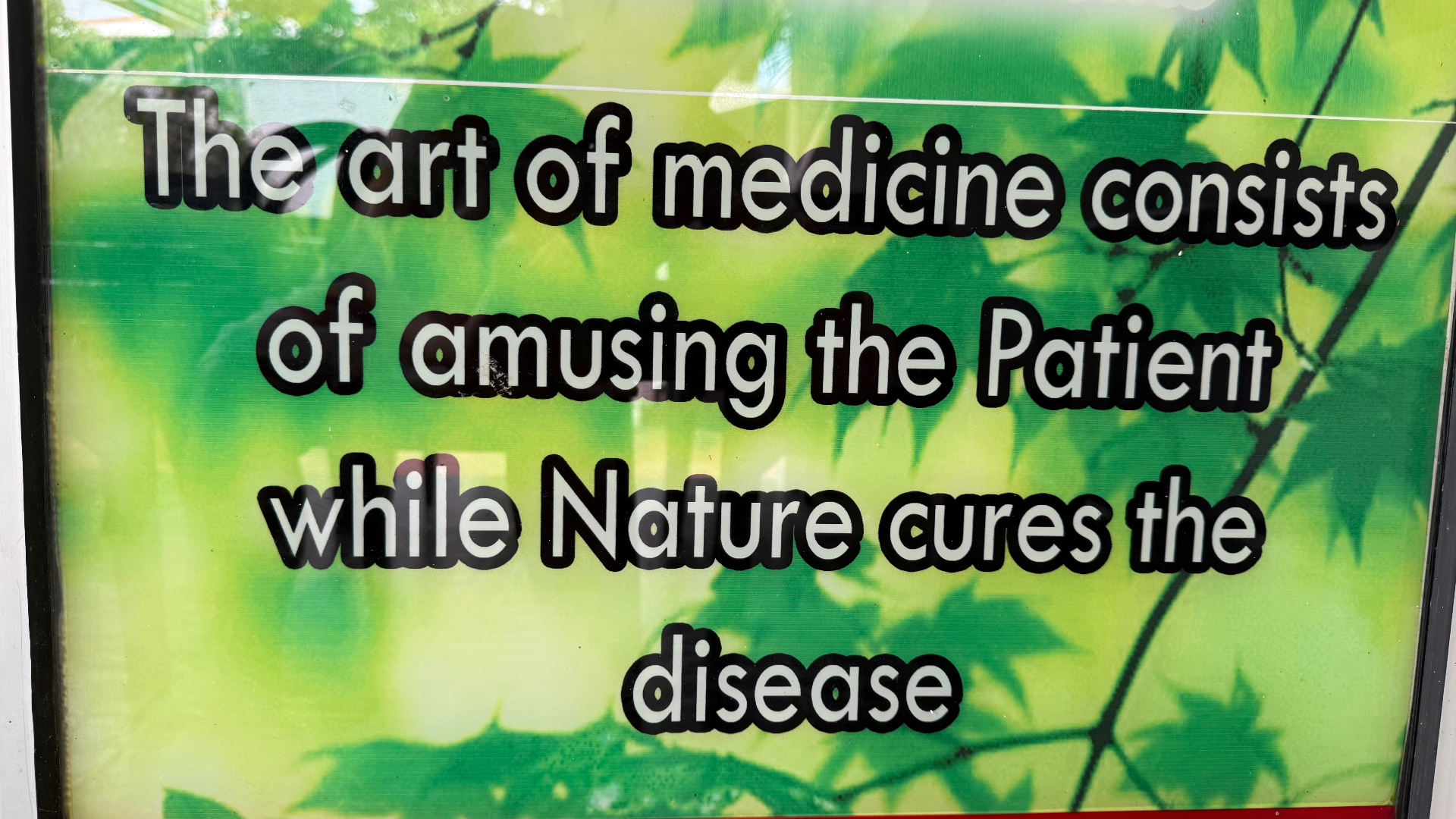 Sign at the Sinhala doctor's clinic reading: The art of medicine consists of amusing the Patient while Nature cures the disease